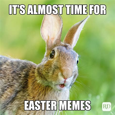 easter 2024 memes free|best easter memes.